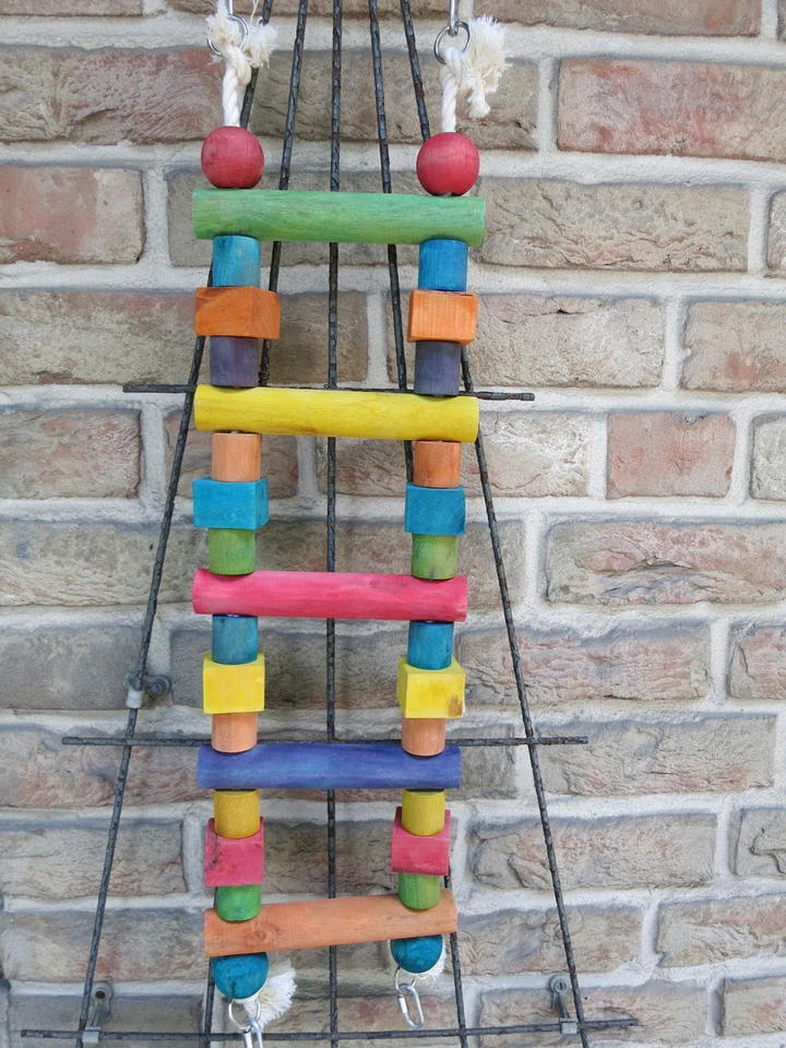 OLLESCH Papageienspielzeug Vogelspielzeug Big Colour Ladder 60 cm Holzbrücke Leiter