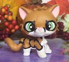 Toys, Mini Pet Shop, “Firestar” WARRIOR CAT, Ooak Custom, Hand