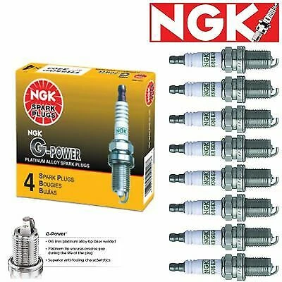 8 Pcs NGK G-Power Spark Plugs 1970-1974 Chevrolet C10 Pickup 6.6L 5.0L 7.4L - Изображение 1 из 2