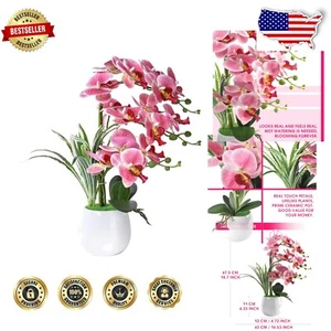 Stunning 19” Pink Faux Orchid Plant with Washable Ceramic Vase for Any Occasion - Picture 1 of 9