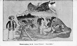 MINNEWAUKON ND LECHE EN EL OJO 1909 POSTAL ENVIADA POR EMPLEADO DE OFICINA DE CORREOS 073124 T - Imagen 1 de 2