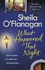 What Happened That Night: The perfect read to curl up with this winter By Sheil