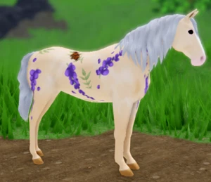 Wild Horse Islands Spring Limited Wisteria Dutch Warmblood - Bild 1 von 2