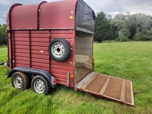 Rice Double Horse Box Trailer, solid floor, good for horses or conversion - Picture 1 of 24