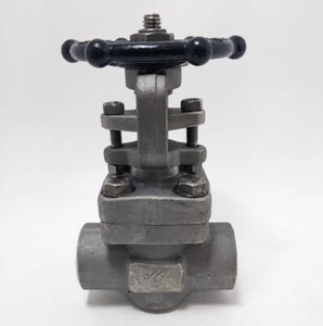 New DSI Stainless Steel 1" Gate Valve 4111 E16-18 - Picture 1 of 6
