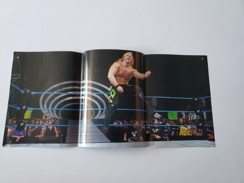 Chris Jericho AEW WWF WWE Wrestling Magazine Doublesided Poster 23" x 11" Cover