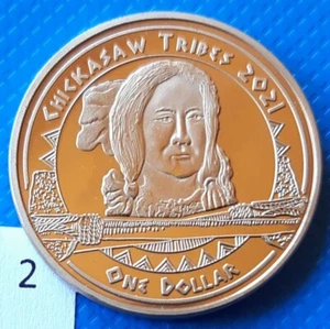 Chickasaw Indian Tribe 1 dollar 2021 aUNC Indian Chief USA Native American - Picture 1 of 4