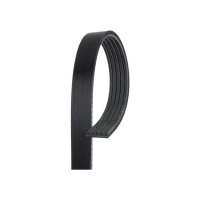 Cinturón serpentino acanalado en V estándar ACDelco genuino para Honda Prelude 1992-1995 Foto 1 de 4