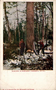 ASERRADEROS PARA TALA DE POSTALES EN BOSQUES DEL NORTE DE MINNESOTA. - Imagen 1 de 2