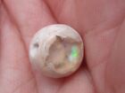 4.03 Ct. Mexican Cantera Fire Opal Bead