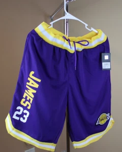 Los Angeles Lakers LeBron James Basketball Shorts Lila & Gold #23 Größe L - Bild 1 von 3