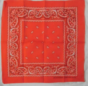 - HELLORANGE WEISS PAISLEY BORDÜRE BANDANA SCHAL 19"x20" BIKER KOPF HALSTUCH BAUMWOLLE - Bild 1 von 6