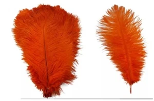 10pcs Red Ostrich Feathers Length 27-30CM for Wedding Party - Picture 1 of 2