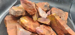 Versteinertes Holz grob, mittel-kleine Stücke| Tumbling Sammeln| überwiegend ROT - Bild 1 von 4