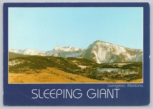 Postal con vista panorámica de las montañas Absaroka Sleeping Giant Livingston Montana - Imagen 1 de 2