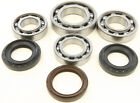 All Balls Rear Differential Bearing  Kit for Yamaha Grizzly 450 4x4 11-14
