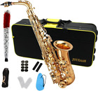 Alto Saxophone Eb Beginner Saxophone Includes Brush Canvas Suitcase Glove Whistl