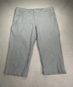 Time and Tru Crop Womens Pants Size 14 Blue Pinstriped Mid Rise - Picture 1 of 12