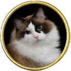 Rag Doll Cat Pet Gold Colour Round Badge And Velveteen Bag