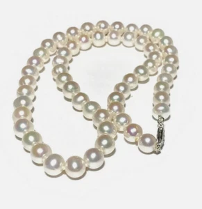 AAAA Japanese Akoya 9-10mm Top Grading white Pearl Necklace 18" 14K Gold Clasp Y - Picture 1 of 3