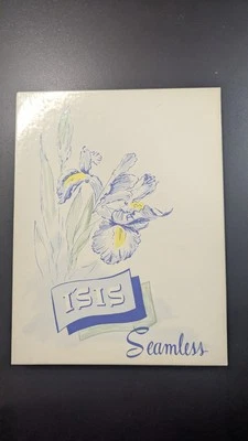 ISIS Vintage Seamless Vintage Nylon Stockings - Beige - 10 1/2 - 3 Pairs - Image 1 of 4