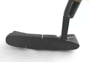 Sectional Golf Putter Right Handed Regular Flex Wood Shaft Practice Vintage - Picture 1 of 8