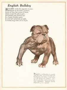 1920s Antique English Bulldog Print Bulldog Poem Poetry C Wessell Art 6130p - Picture 1 of 2