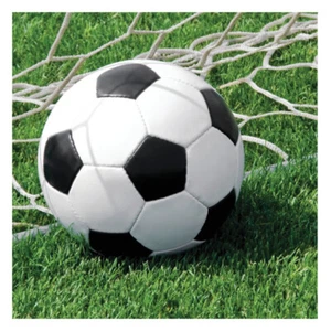 Soccer Party Supplies Sports Lunch Napkins 18 Pack Birthday Tableware Boy Girl - Picture 1 of 1