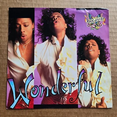 RICK JAMES Wonderful NO RECORD!!! PICTURE SLEEVE ONLY!!! 45 7" - Image 1 of 3