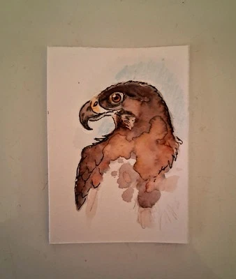 ACEO Original Watercolor Painting, Bird Of Prey, by Herbie Hasbrouck Jr  - Image 1 of 2