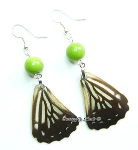 Unique Butterfly Earrings - Papilionidae - M8 - Imagen 1 de 1