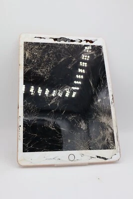 Apple iPad 7. Gen 10,2 Zoll WiFi 32GB Gold A2197  DEFEKT / #4651 - Bild 1 von 4