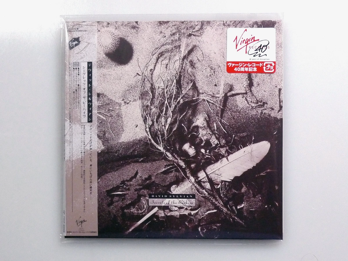 洋楽 David Sylvian CD David Sylvian - Everything & Nothing - Amazon.com Music