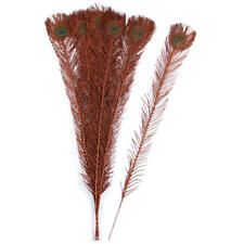 Factory Direct Craft Colorful Copper Artificial Peacock Feather Stems | 12 