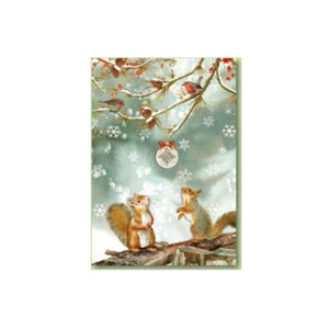 Zwei Eichhörnchen Wildtiere verpackt Weihnachtskarten (10er Pack) - Bild 1 von 1