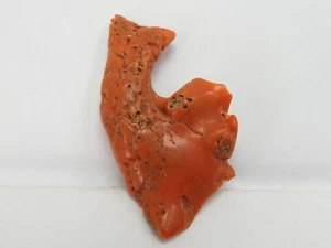 Natural Italian Red Coral Polished Rough Stick Gemstone For Jewelry - Picture 1 of 8