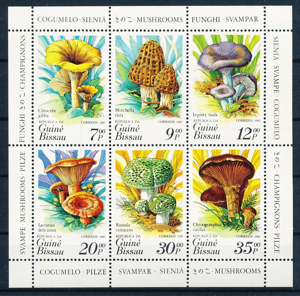 LS64342 Guinea-Bissau plants flora nature mushrooms good sheet MNH - Image 1 of 1
