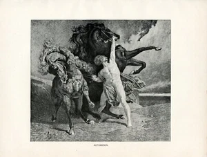 Automedon uomo con 2 cavalli selvaggi 1892 stampa artistica vintage in bianco e nero - Foto 1 di 3