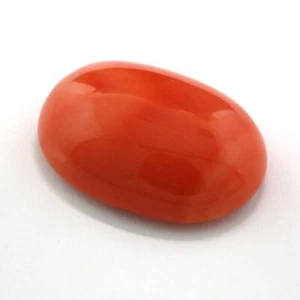 Natürliche Koralle 32,92 carat oval lachsrot - Picture 1 of 4