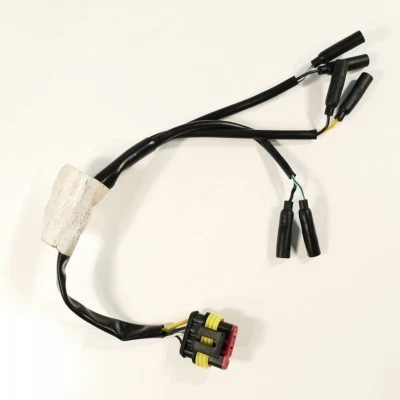 DUCATI 750 SS IE Sport V2 Kabel hinten Rücklicht nur 22979km - Imagem 1 de 4