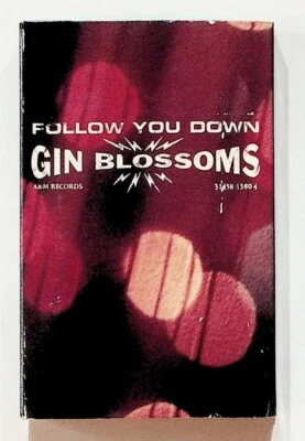 1996 Gin Blossoms Follow You Down Single Cassette Tape Foto 1 de 4