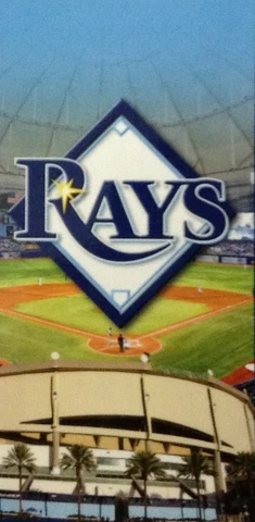 MLB Tampa Bay Rays Stadium 30" X 60" Fiber Reactive Beach Towel MAKES GREAT GIFT Cover