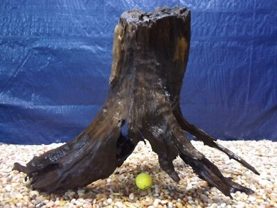 X-Large Driftwood 19"x26"x13" Aquarium Terrarium Reptile Natural Art - Image 1 of 4
