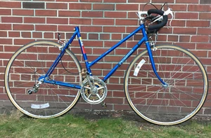 FRAMESET Panasonic Villager 56 cm Road Bike Ladies Blue FFS - Picture 1 of 8