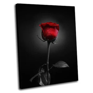 Quadro Stampa Arte Parete Tela Fiori Rosa 27 QUALITÀ PREMIUM 5vaa - Foto 1 di 10