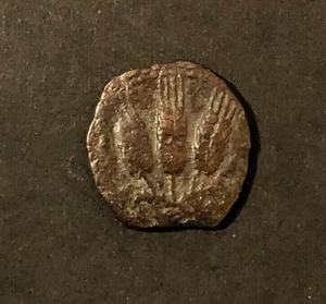 JUDAEA Prutah royaume d'hèracle 1 gripa bacilew JERUSALEM 41/42 2,6g - Picture 1 of 2