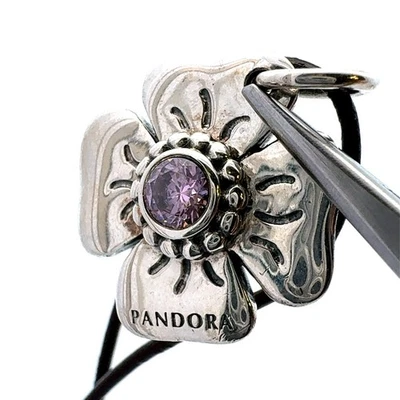 Pandora retirado 925 plata esterlina circonita cúbica margarita encanto Foto 1 de 4