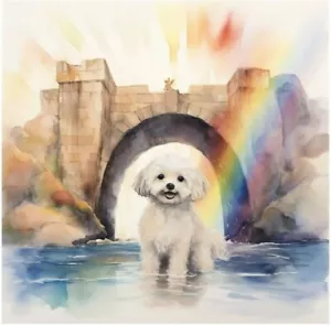 Watercolor Maltese Pet Memorial Gift Painting Art Print INCLUDES 11X14 MATTING - Picture 1 of 2