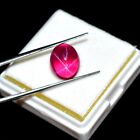 EGL Certified 100% Natural 6 Ray Red Star Ruby 5-6 CT Loose Gemstone For Jewelry