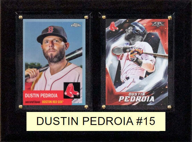 Placa de 2 tarjetas Dustin Pedroia 6" x 8" Foto 1 de 1